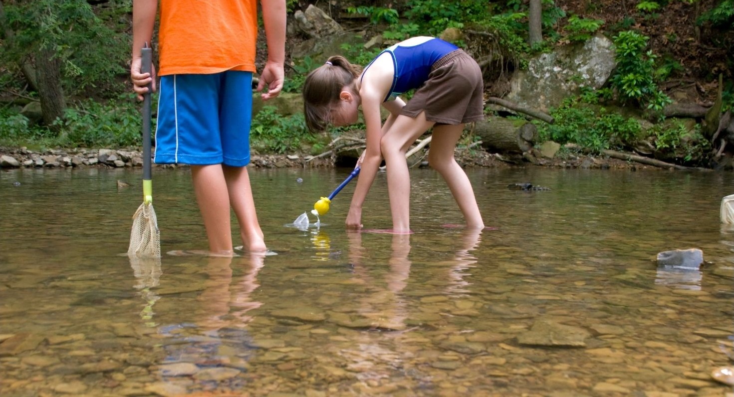 Belong to the Creek-Embracing Joyful Activities