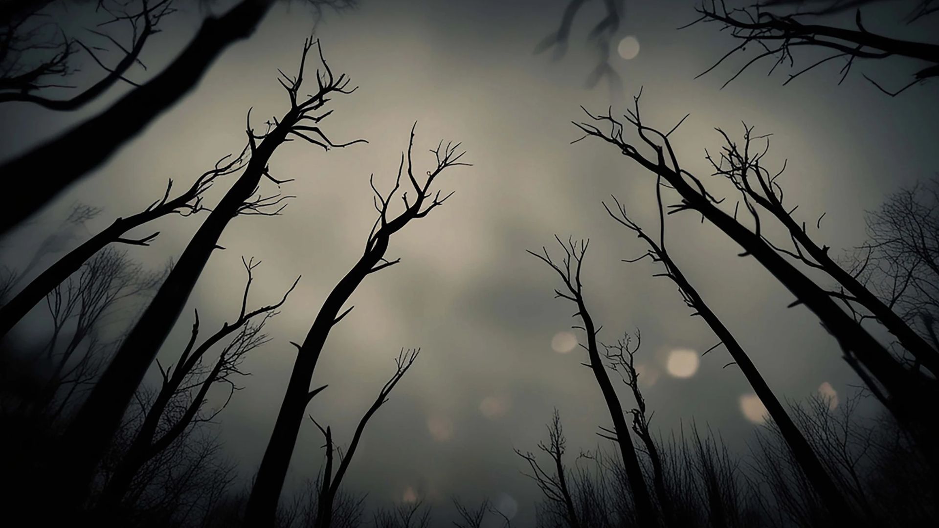 Remembering the Dead on Halloween